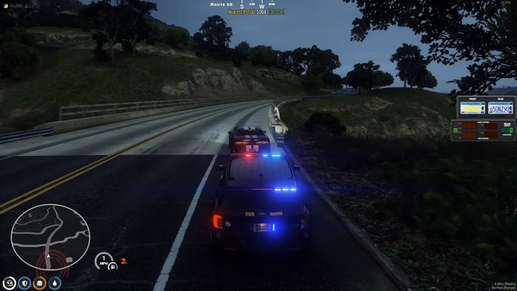 Traffic stop by police in FiveM Multiplayer
