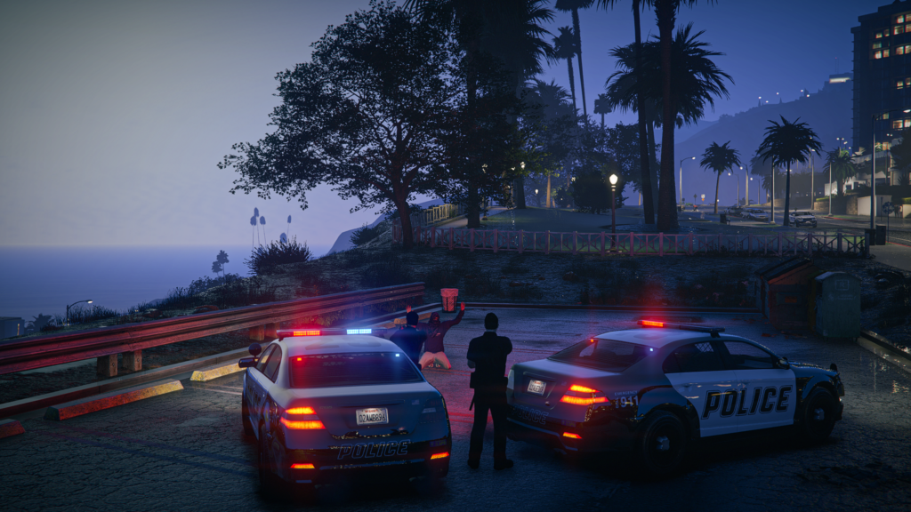 A police interaction scene in a cinematic aesthetic of FiveM multiplier that highlights the action and environment.