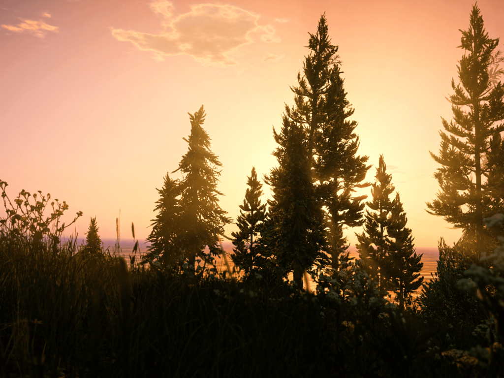 The beautiful sunset has become better in visuals thanks to the GTA 5 mods